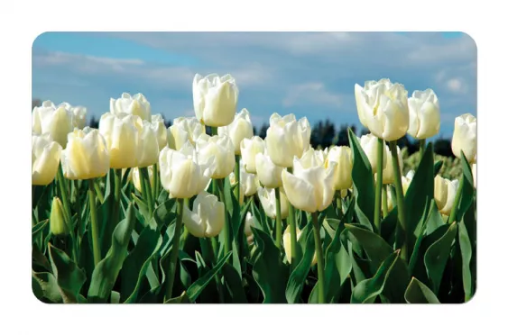 Frühstücksbrettchen Blumen weiße Tulpen