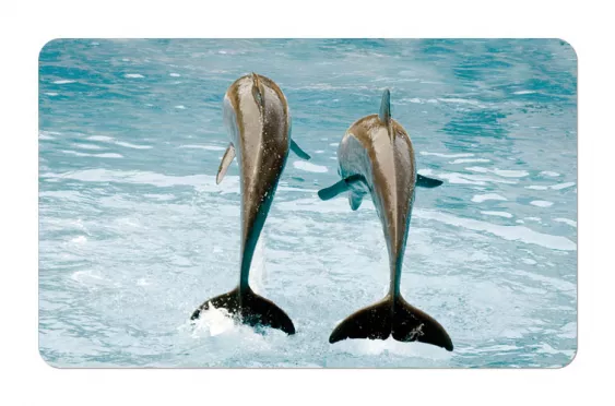 Frühstücksbrettchen Sealife 2 Delfine